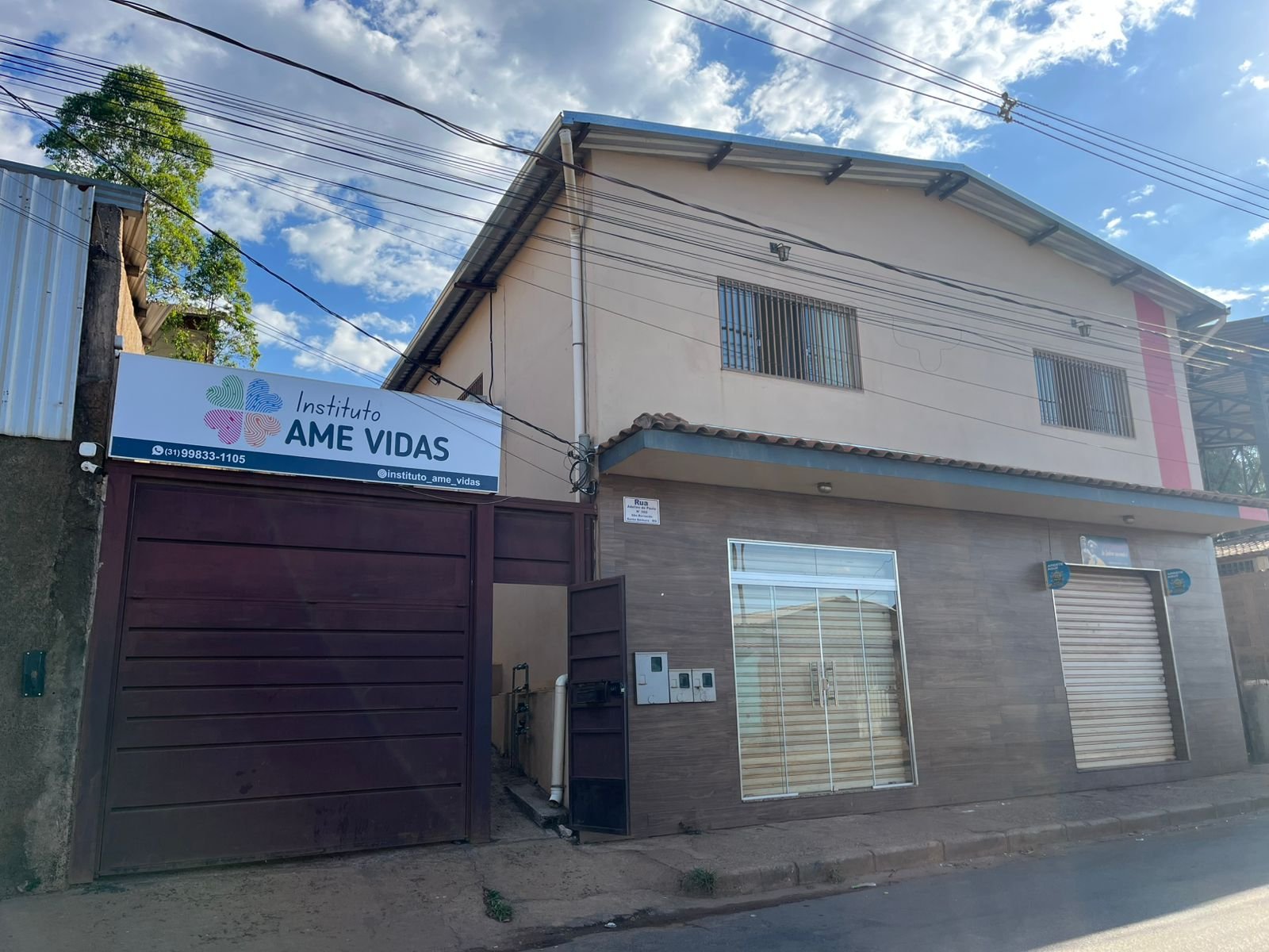 instituto ame vidas